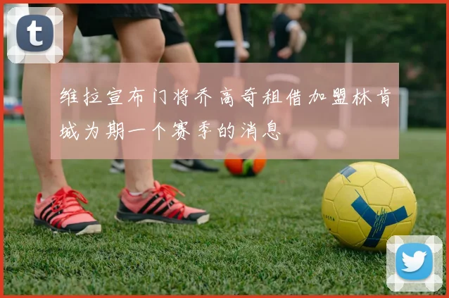 维拉宣布门将乔高奇租借加盟林肯城为期一个赛季的消息